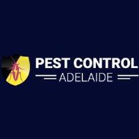 Flea Control Adelaide image 4